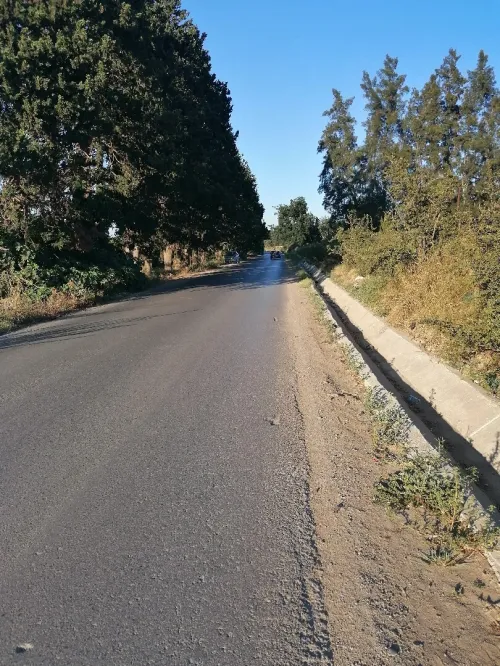 Vente Terrain Blida Boufarik