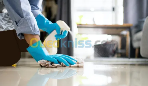Femme de ménage à domicile / Société de nettoyage jardinage ponçage lustrage