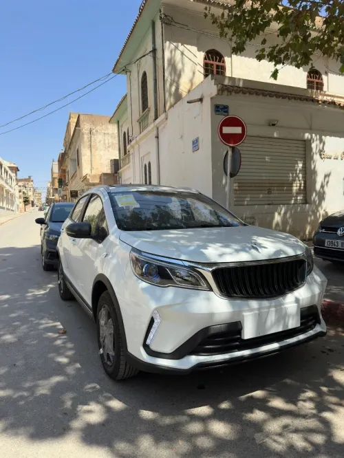 Livan X3 Pro  2025 X3 Pro automatique + Toit 