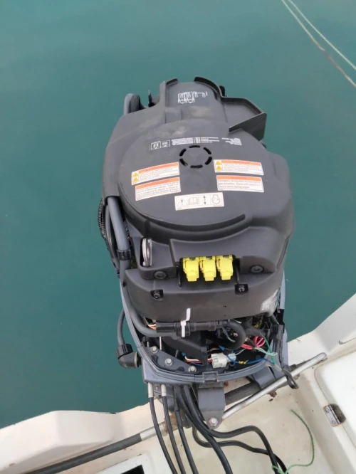 Bonne marine 5m 20 2018
