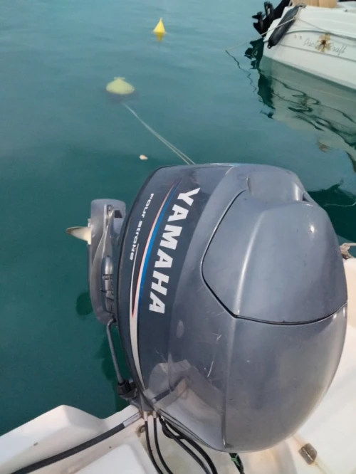 Bonne marine 5m 20 2018