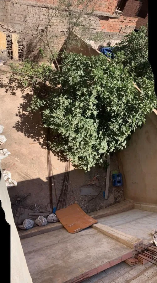 Vente Terrain Oran Hassi bounif