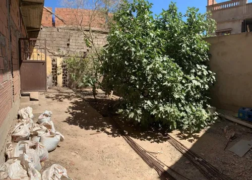 Vente Terrain Oran Hassi bounif