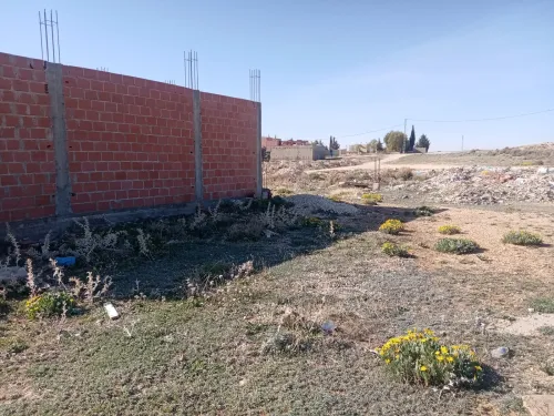 Vente Terrain Khenchela El mahmal