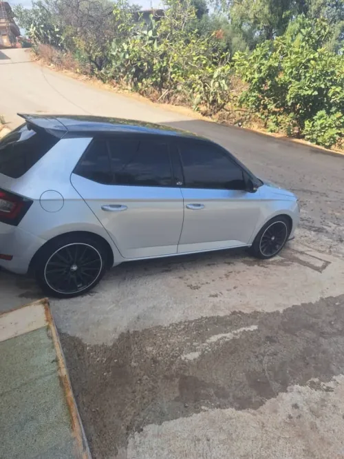 Skoda Fabia 2020 Monte Carlo