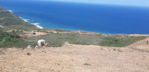 Vente Terrain Tizi ouzou Azeffoun