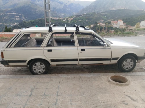 Peugeot 505 1991 GLD