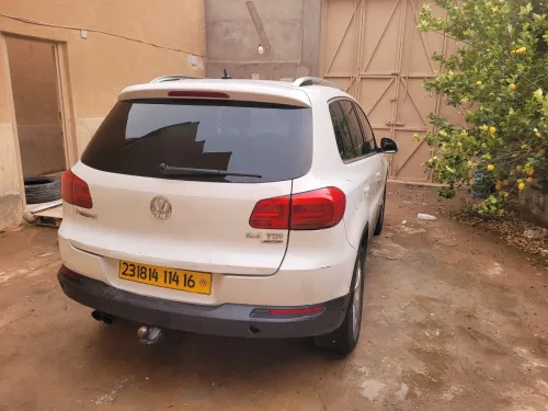 Volkswagen Tiguan 2014 Cup