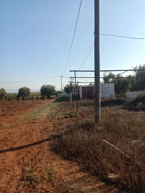 Vente Terrain Agricole Tlemcen Hennaya