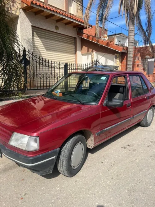 Peugeot 309 1989 309