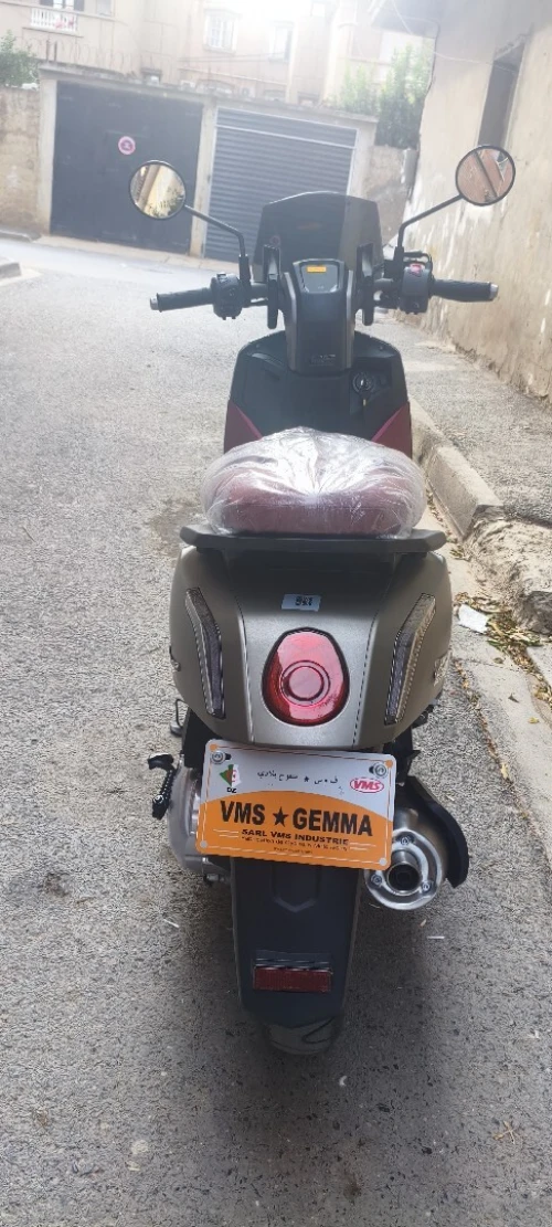 Vms Gemma 2025