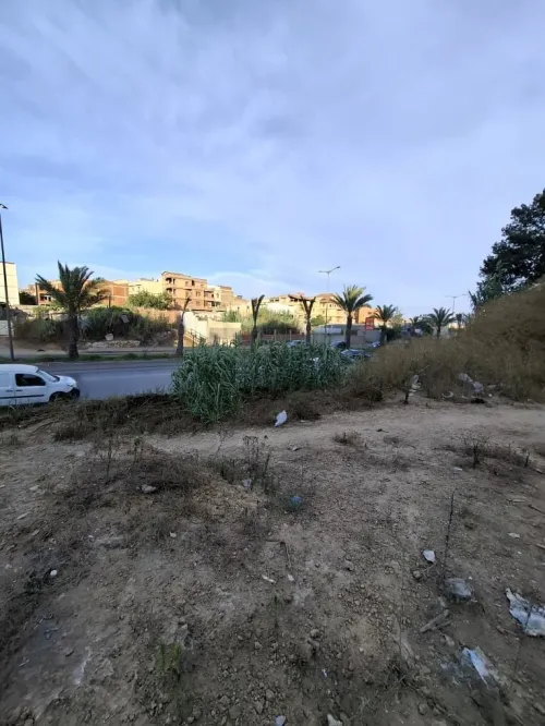Vente Terrain Alger Bordj el kiffan 3