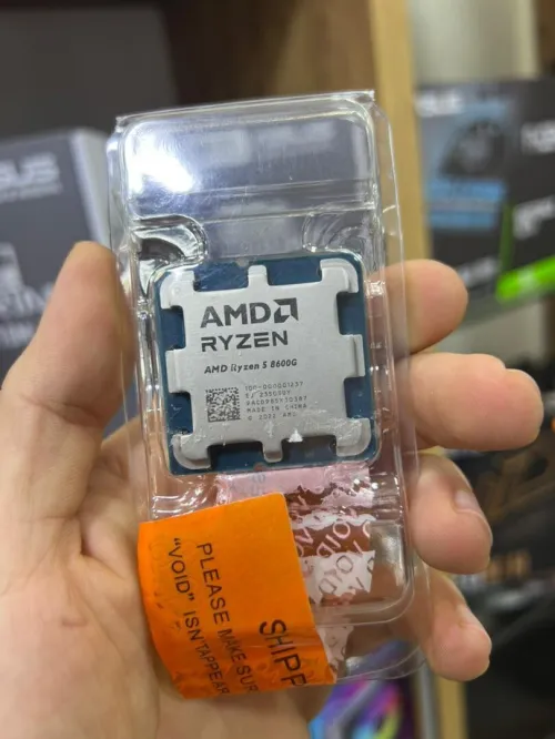 PROCESSEUR AMD RYZEN 5 8600G TRY