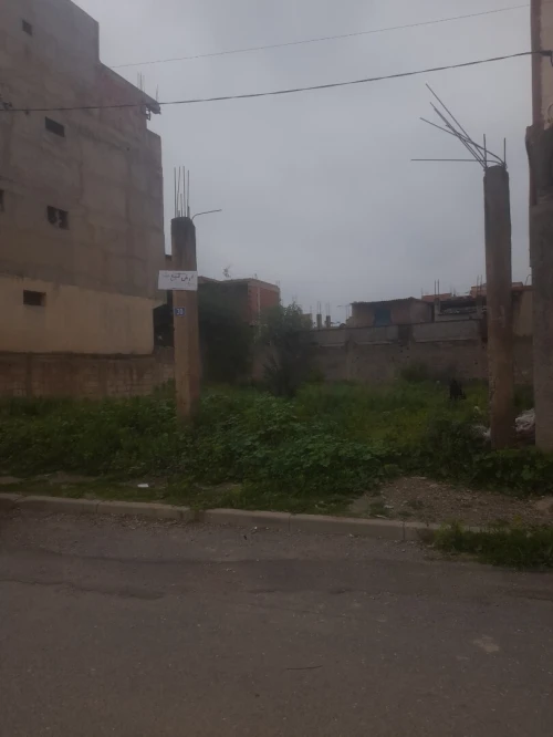 Vente Terrain Blida Bougara