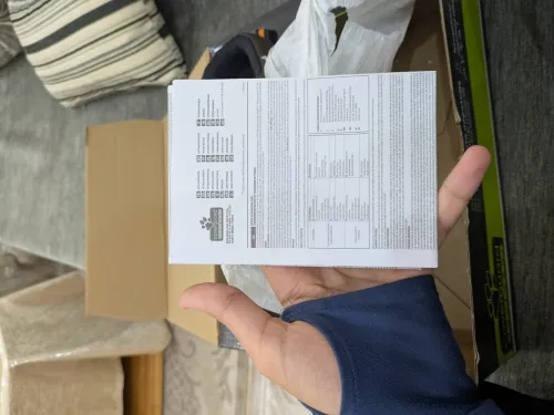 Chaussures de sécurité  Safety shoes  jamais utilisé état 10/10  Prix 12000da mrhba bikom
