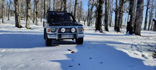 Nissan Patrol Long 1993 Patrol Long