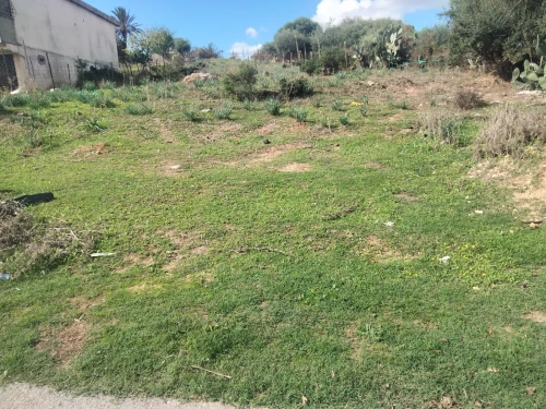 Vente Terrain El Tarf Raml souk souarekh