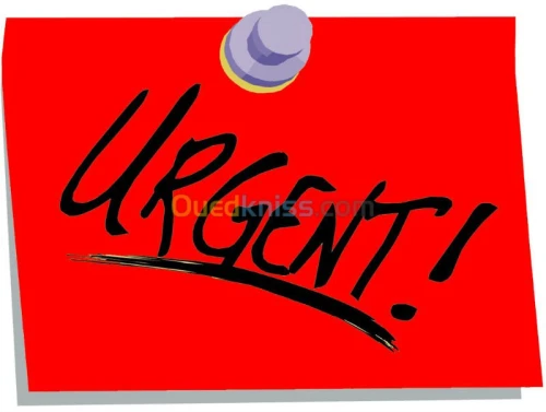 Cherche location Appartement F3 Alger Hydra