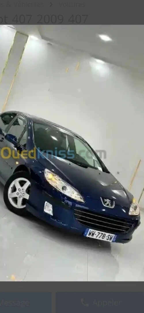 Peugeot 407 2009 407
