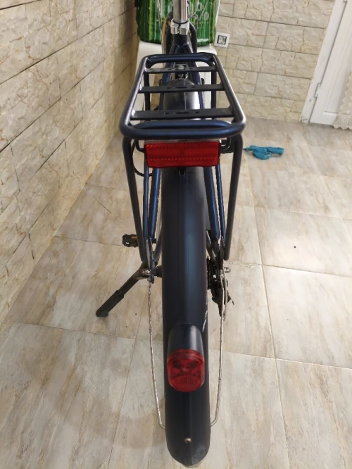 Elops 520
