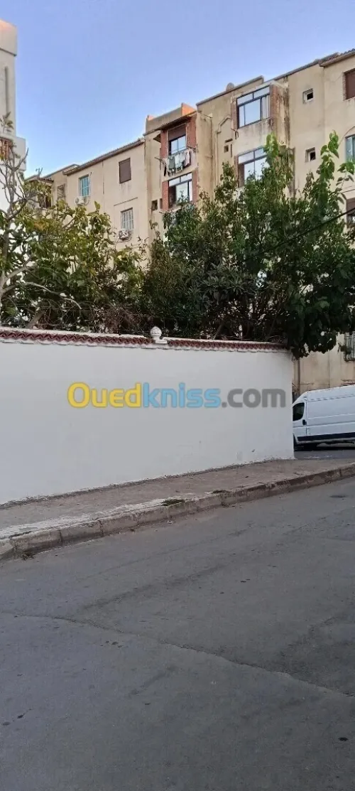 Location Local Alger Ain taya