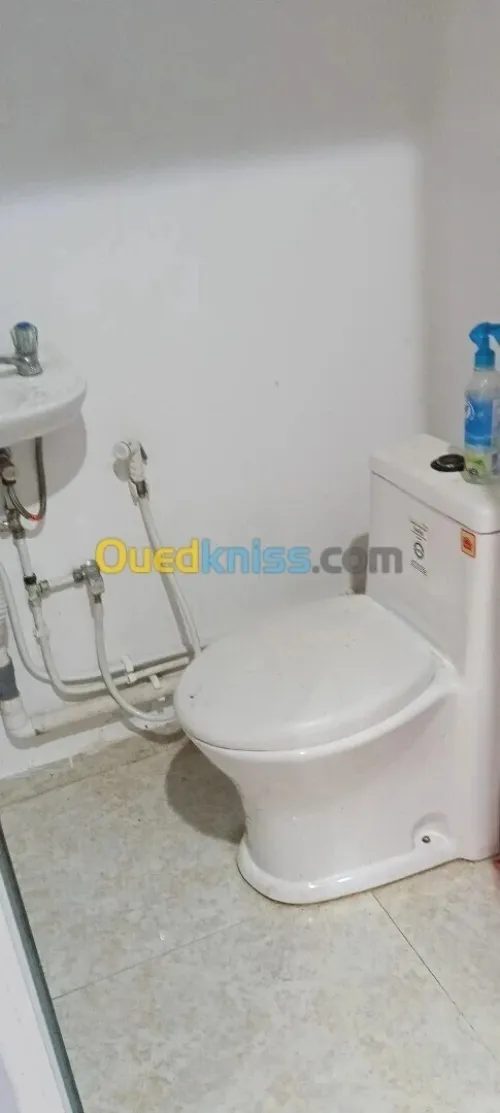 Location Local Alger Ain taya