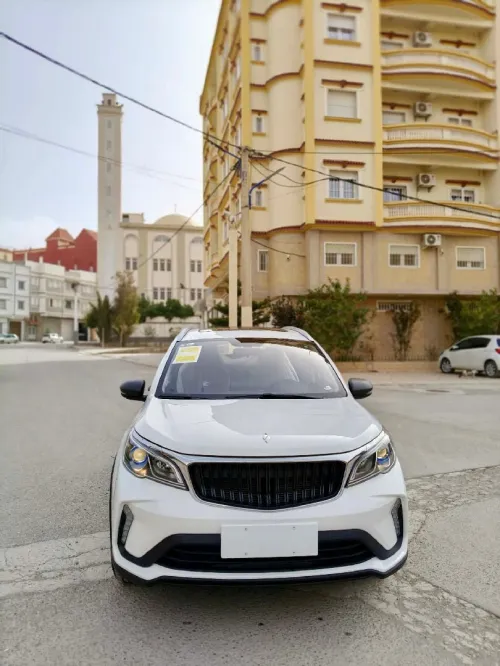 Livan X3 Pro  2025 Automatique (Avec toi ouvrant )