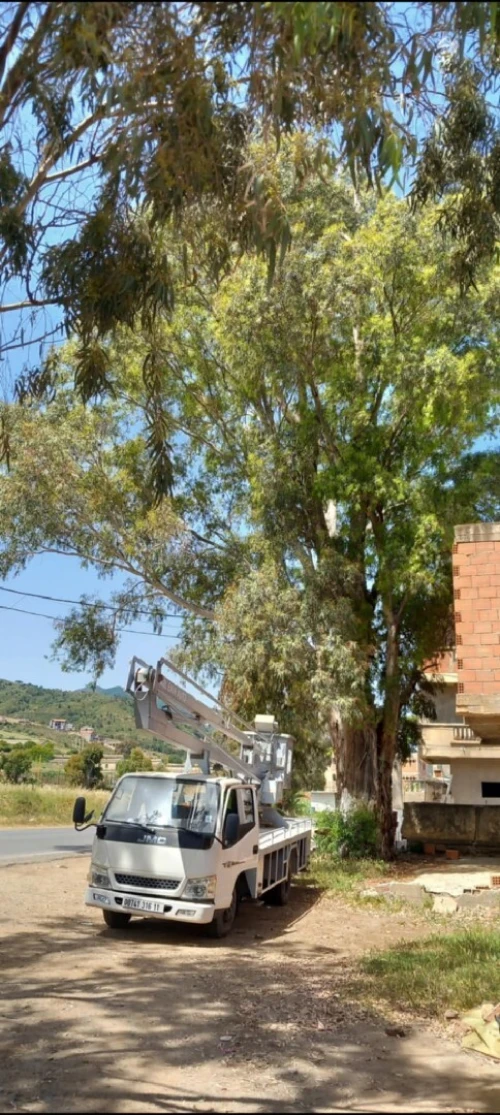 Abattage et élagage des arbres et espaces verts 