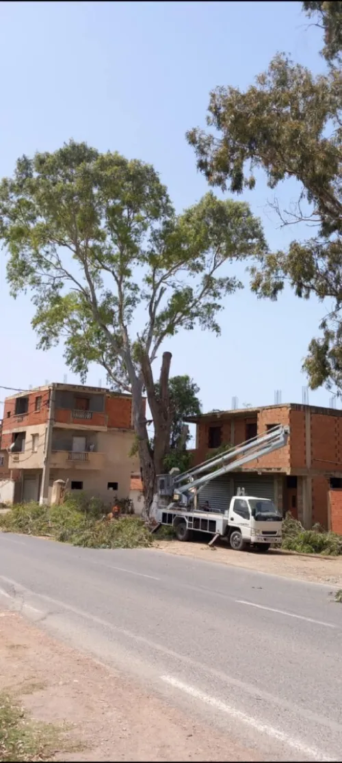 Abattage et élagage des arbres et espaces verts 