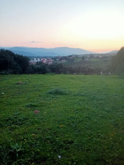 Vente Terrain Béjaïa El kseur