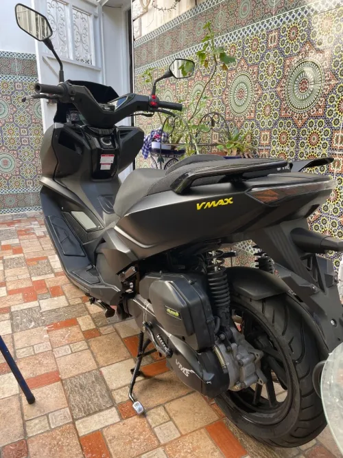 VMs V Max 2021
