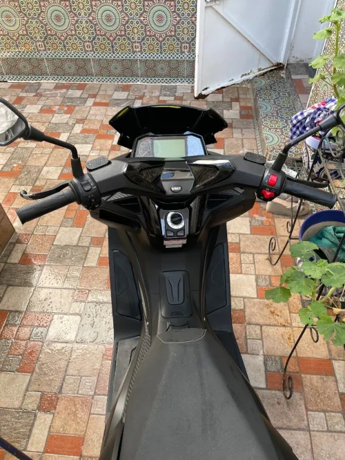 VMs V Max 2021