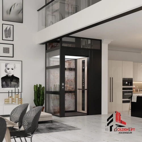 Home lift & ascenseur maison 