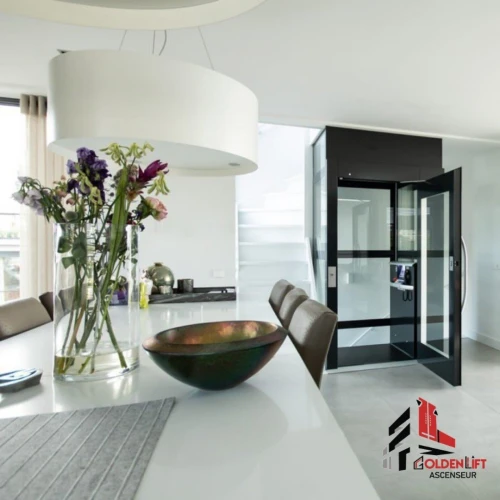 Fourniture, montage et mise en service tout type d'ascenseurs 