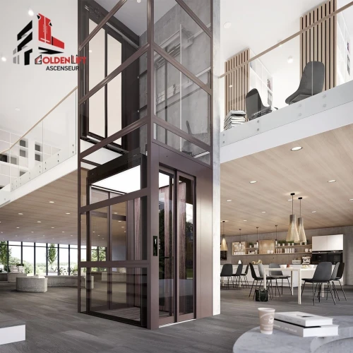 Home lift & ascenseur maison 