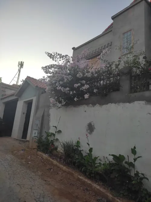 Vente Villa Alger Draria