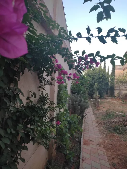 Vente Villa Alger Draria