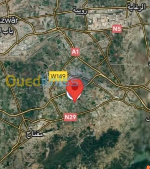 Vente Terrain Boumerdes Hammedi