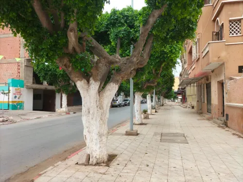 Vente Immeuble Aïn Témouchent Ain temouchent