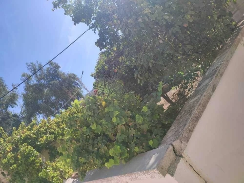 Vente Villa Constantine Constantine