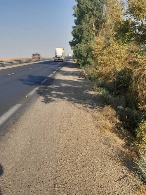Vente Terrain Agricole Biskra Oumache