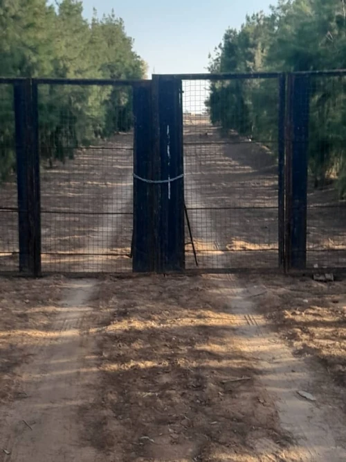 Vente Terrain Agricole Biskra Oumache