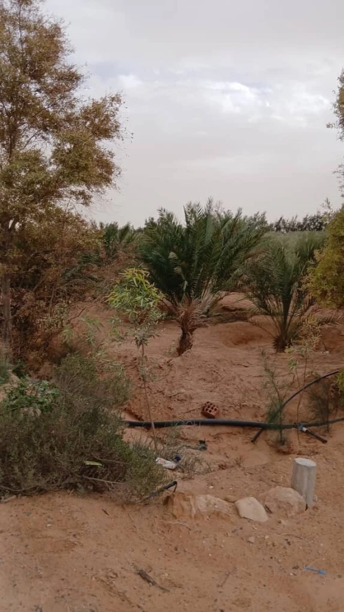 Vente Terrain Agricole Biskra Oumache