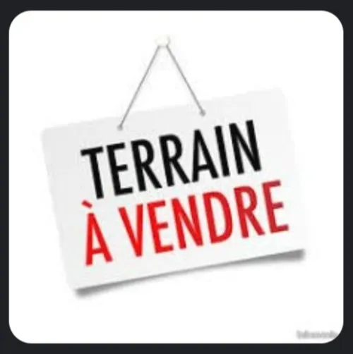 Vente Terrain Tipaza Bou ismail