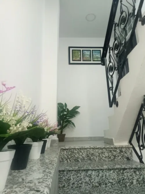 Location Appartement F2 Oran Oran