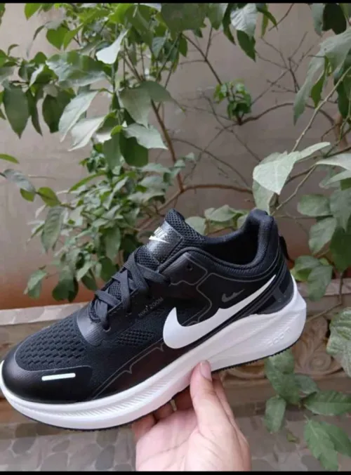 Basket orthopedic