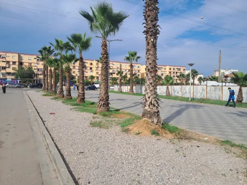 Cherche achat Appartement F3 F4 Alger Bab ezzouar