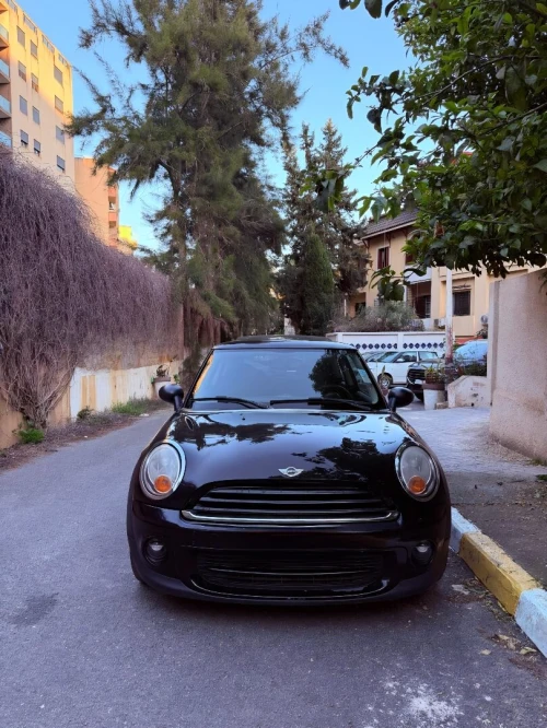 Mini Mini 2013 One