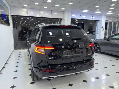 Skoda Karoq 2025 
