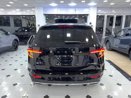 Skoda Karoq 2025 